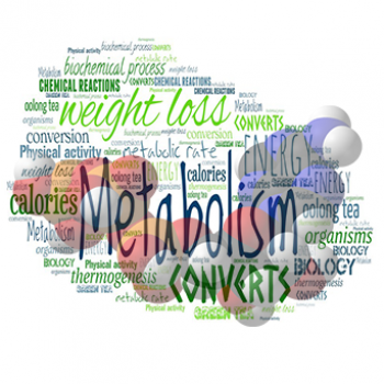 חילוף-חומרים-טאמבנייל-350x342